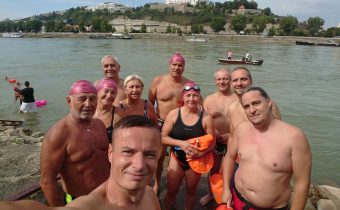 Tučniaky na Trans Danube Swim 2020