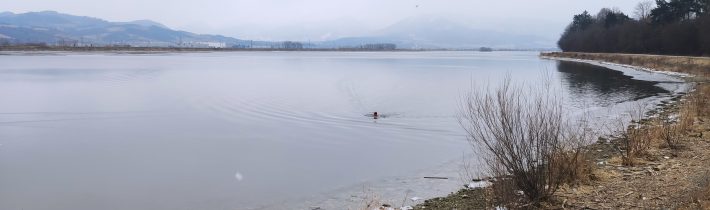 Virtuálna jarná výzva Ľadoplavec – Žilina 2021