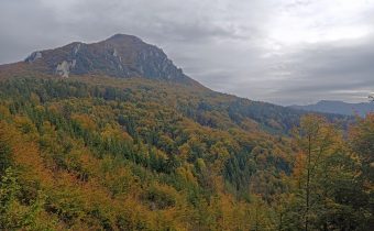 Farebný Šíp, alebo 2,75 člena je skoro ako traja