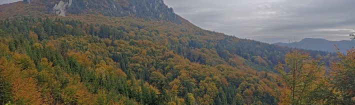 Farebný Šíp, alebo 2,75 člena je skoro ako traja